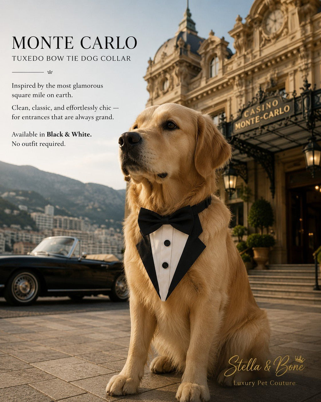 Monte Carlo | Tuxedo Bow Tie Dog Collar | Stella & Bone