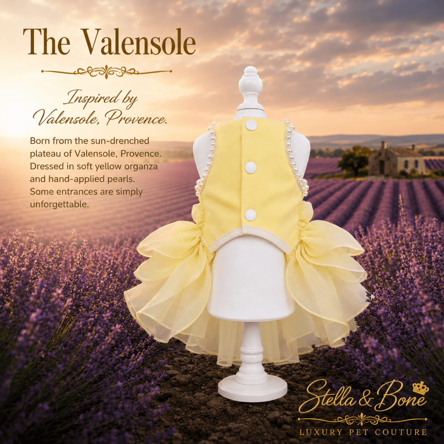 Back of The Valensole, a pet dress, near a lavender field in Provence. Perfect for birthday, wedding or any special occasion