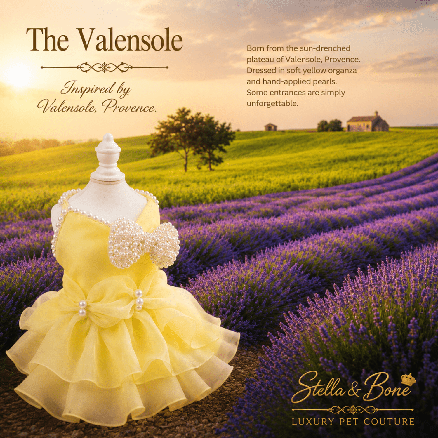 Yellow pet dress, The Valensole, displayed in a lavender field, with scenic Provence landscape background. Stella and Bone