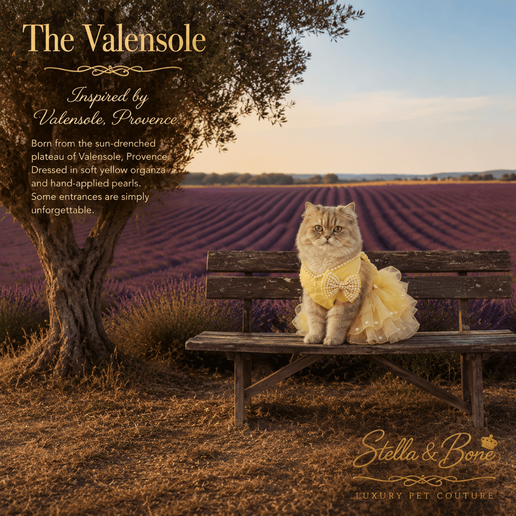 A cat wearing The Valensole, a yellow satin tulle dress near a lavender field in Provence. Great for special occasions