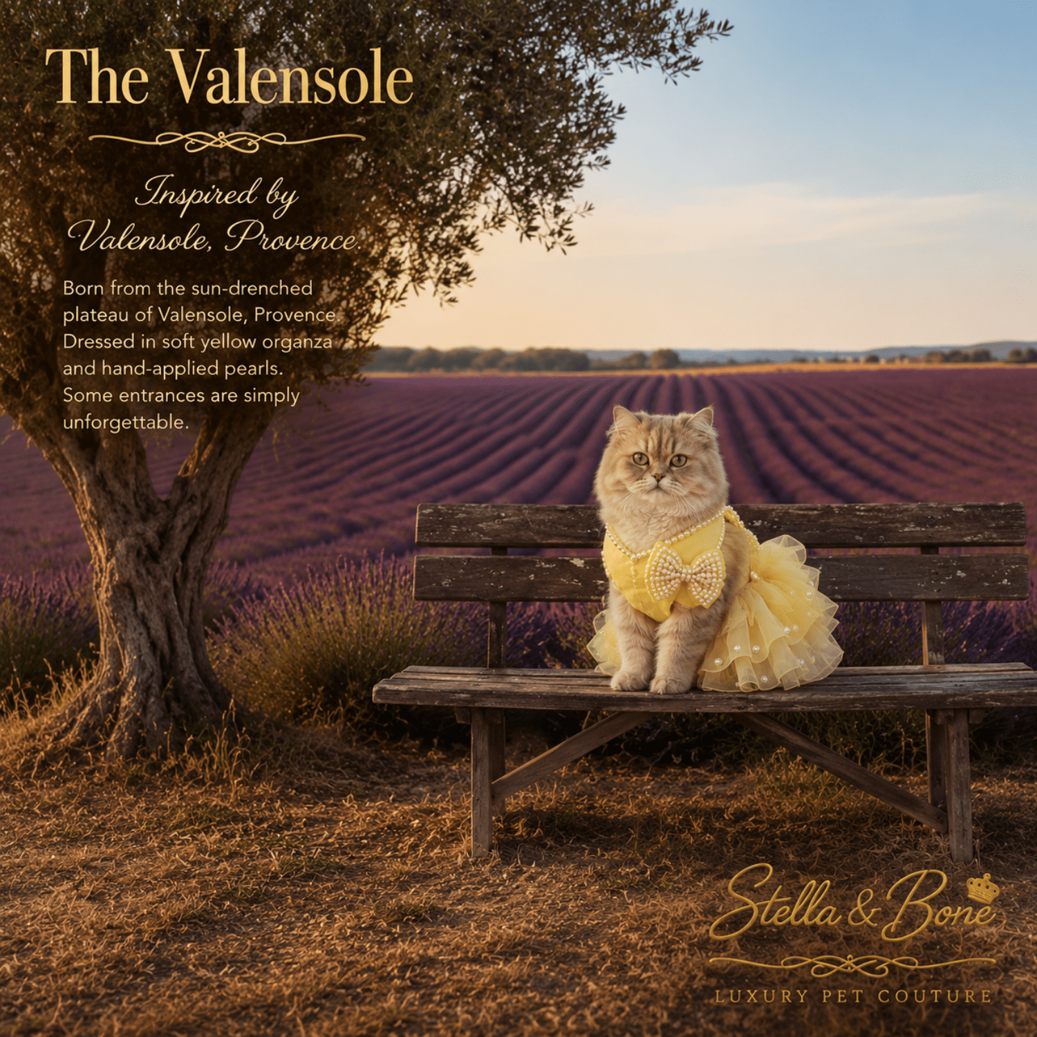 A cat wearing The Valensole, a yellow satin tulle dress near a lavender field in Provence. Great for special occasions