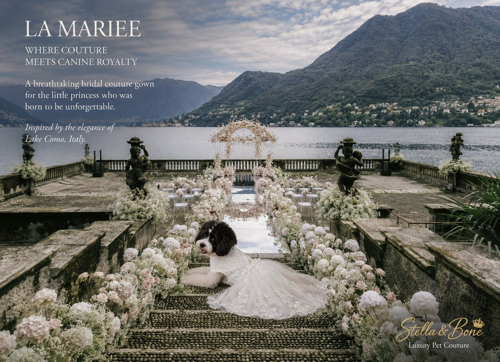 La Mariée | Bridal Couture Dog Gown | Stella & Bone