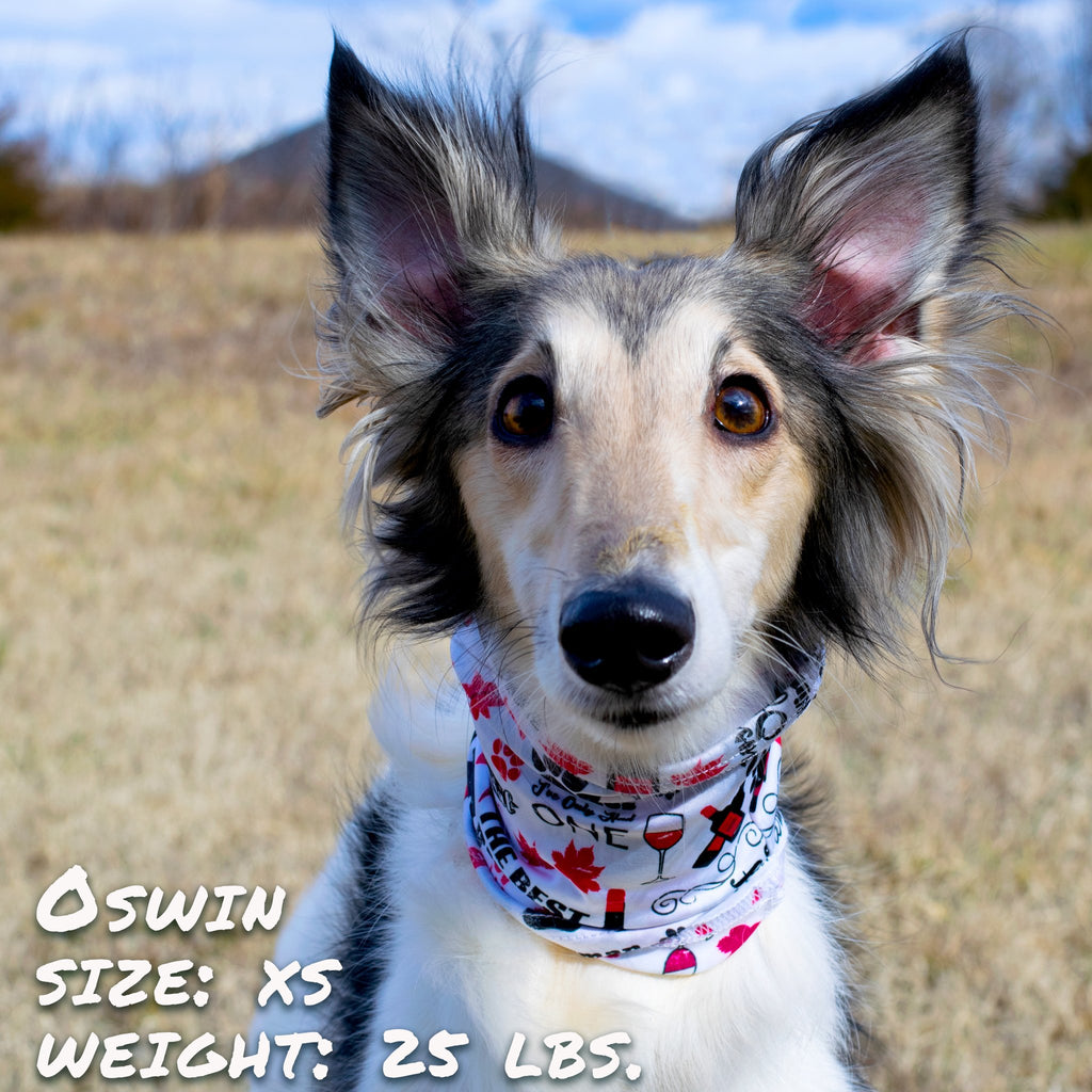 Wags & Wine Dog Bandana Scruff | 10 Sizes | Stella & Bone - Stella & Bone