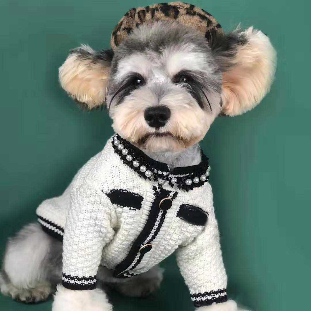 Couture Knit Cardigan | Designer Pet Sweater | Stella & Bone - Stella & Bone