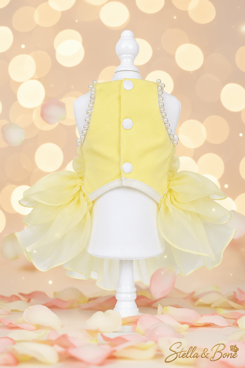 Sunshine Pearl Ruffle Dress | Dogs & Cats | Stella & Bone